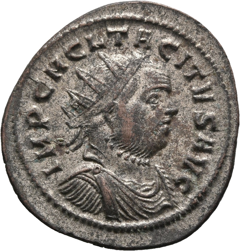 RIC V Tacitus 152 Tacitus obverse — Bust of Tacitus, radiate, draped, cuirassed, right or bust of Tacitus, radiate, cuiras...