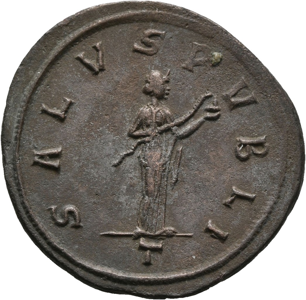 RIC V Tacitus 160 Tacitus reverse, Salus, draped, standing right, feeding out of patera held in left hand serpent held in ...