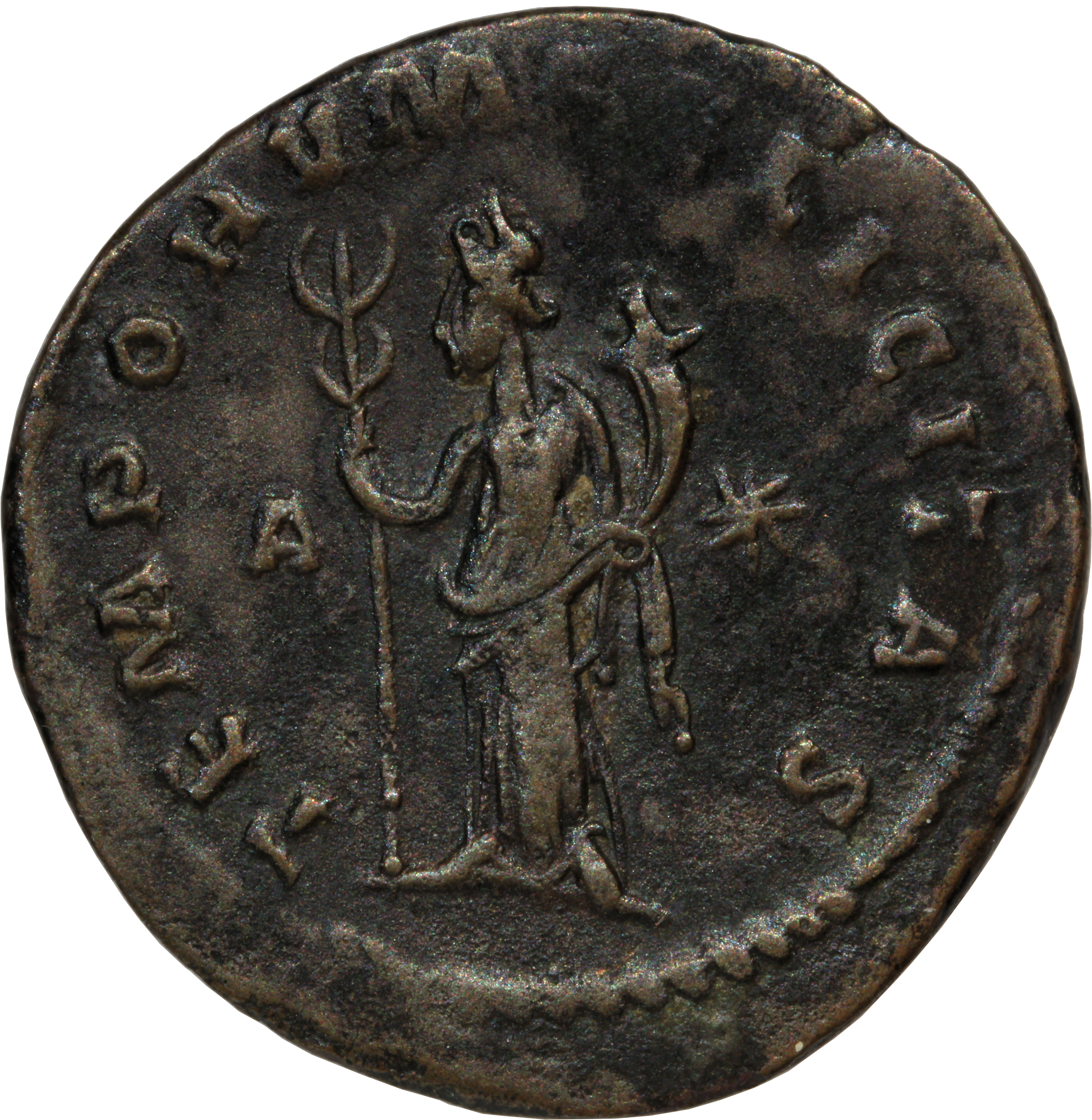 RIC V Tacitus 65 Tacitus reverse — Felicitas, draped, standing left, holding caduceus in right hand and cornucopiae in lef...