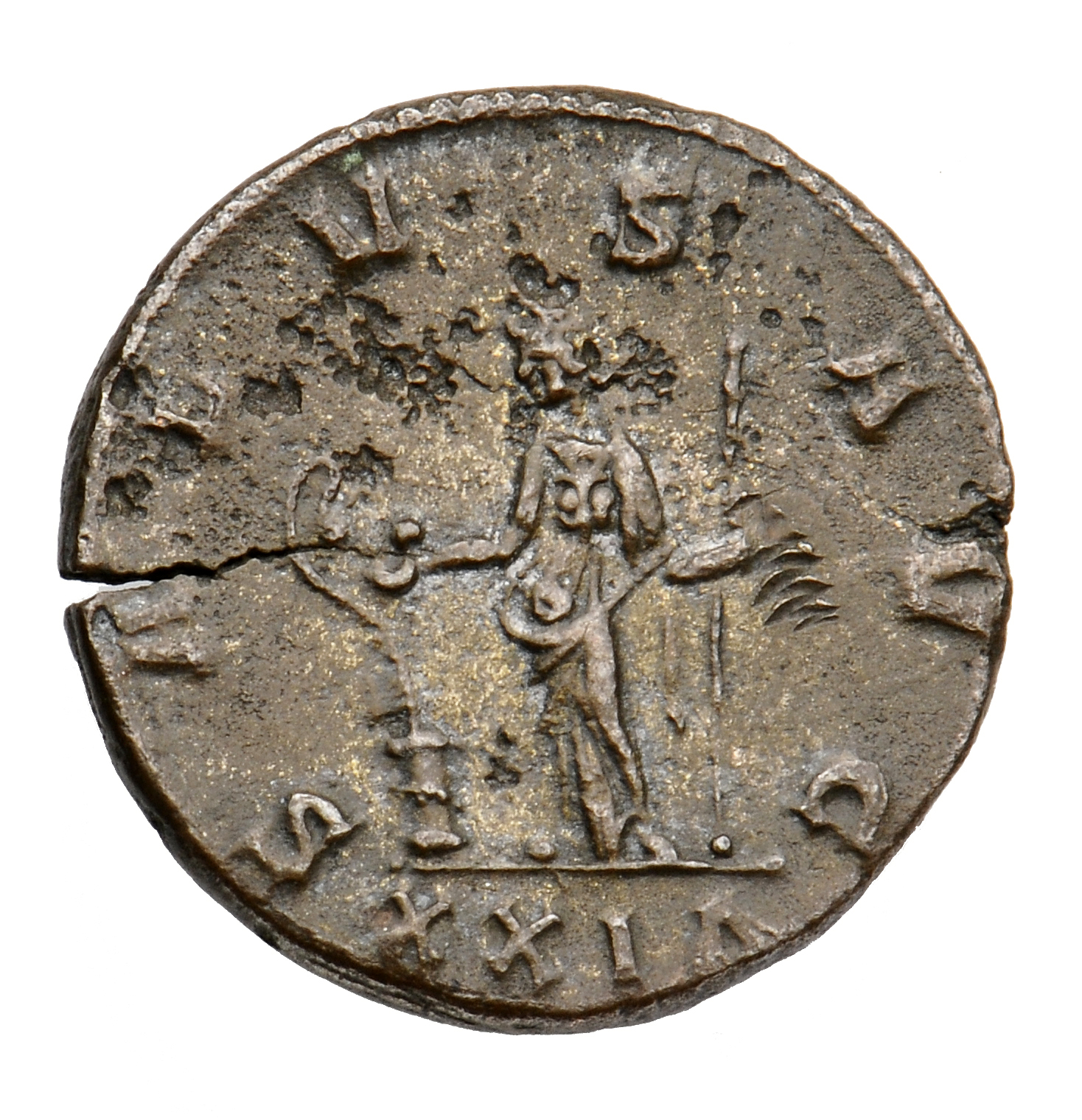 RIC V Tacitus 93 Tacitus reverse, Salus, draped, standing left, feeding serpent rising from altar