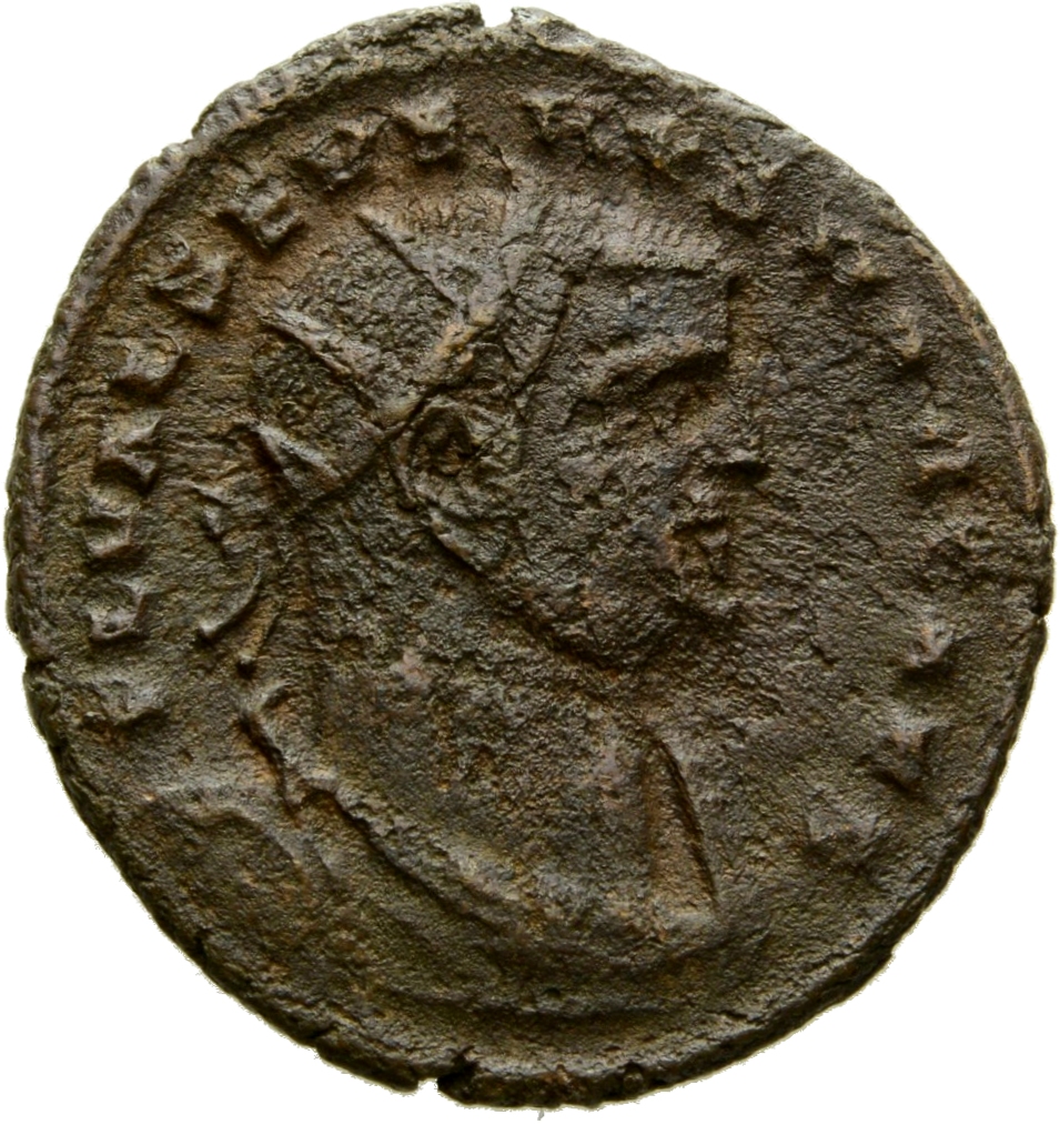 RIC VI Alexandria 60a Maximinus Daia obverse — Bust of Severus II, radiate, draped, cuirassed, right