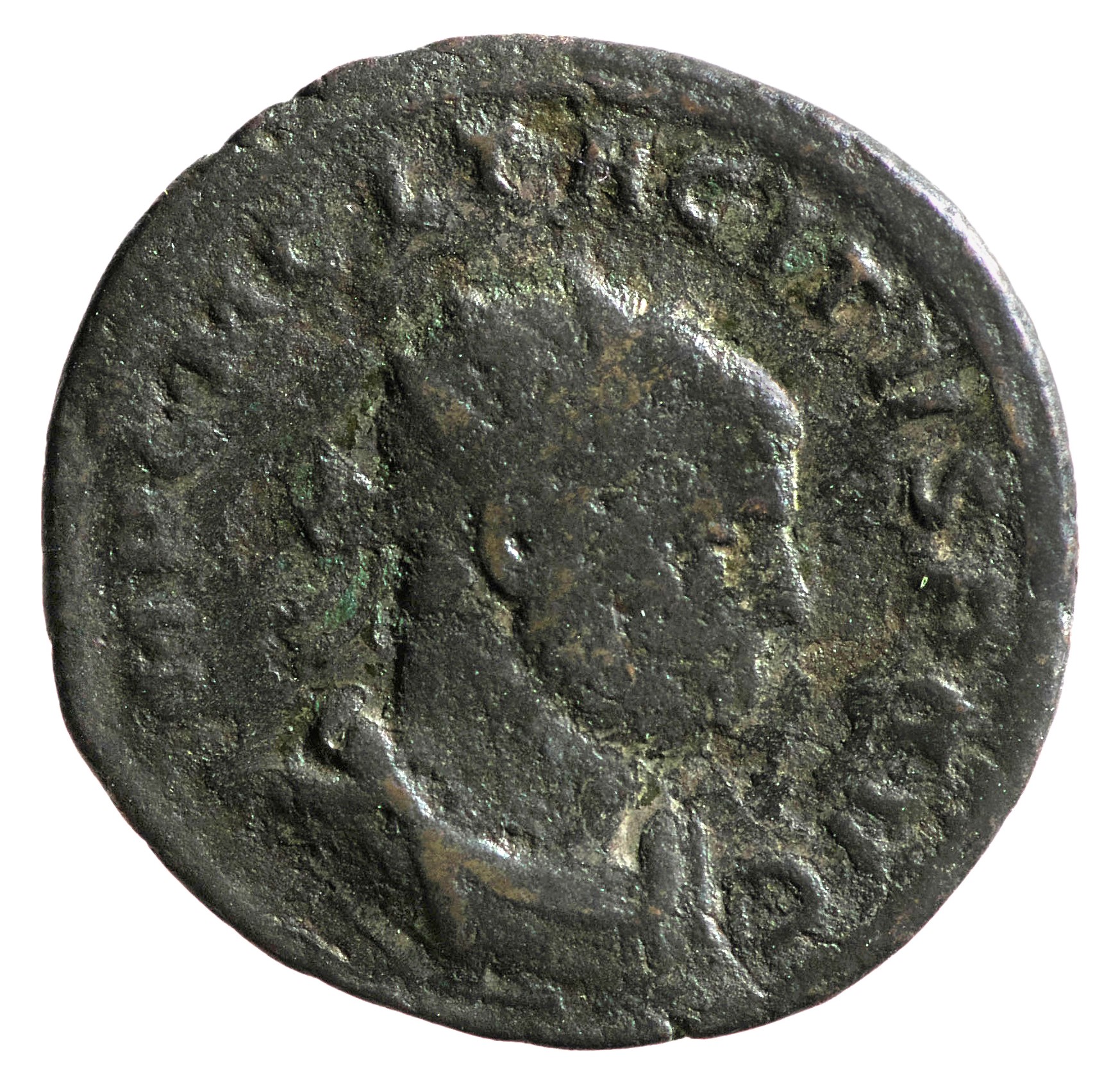 RIC VI Ticinum 57a Constantius Chlorus obverse, Bust of Diocletian, laureate, wearing imperial mantle, right, holding oliv...