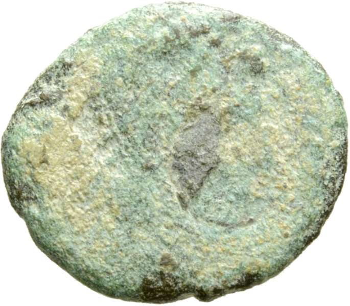 RIC VIII Antioch 115 Constantius II obverse, Head of Constans, pearl-diademed, right