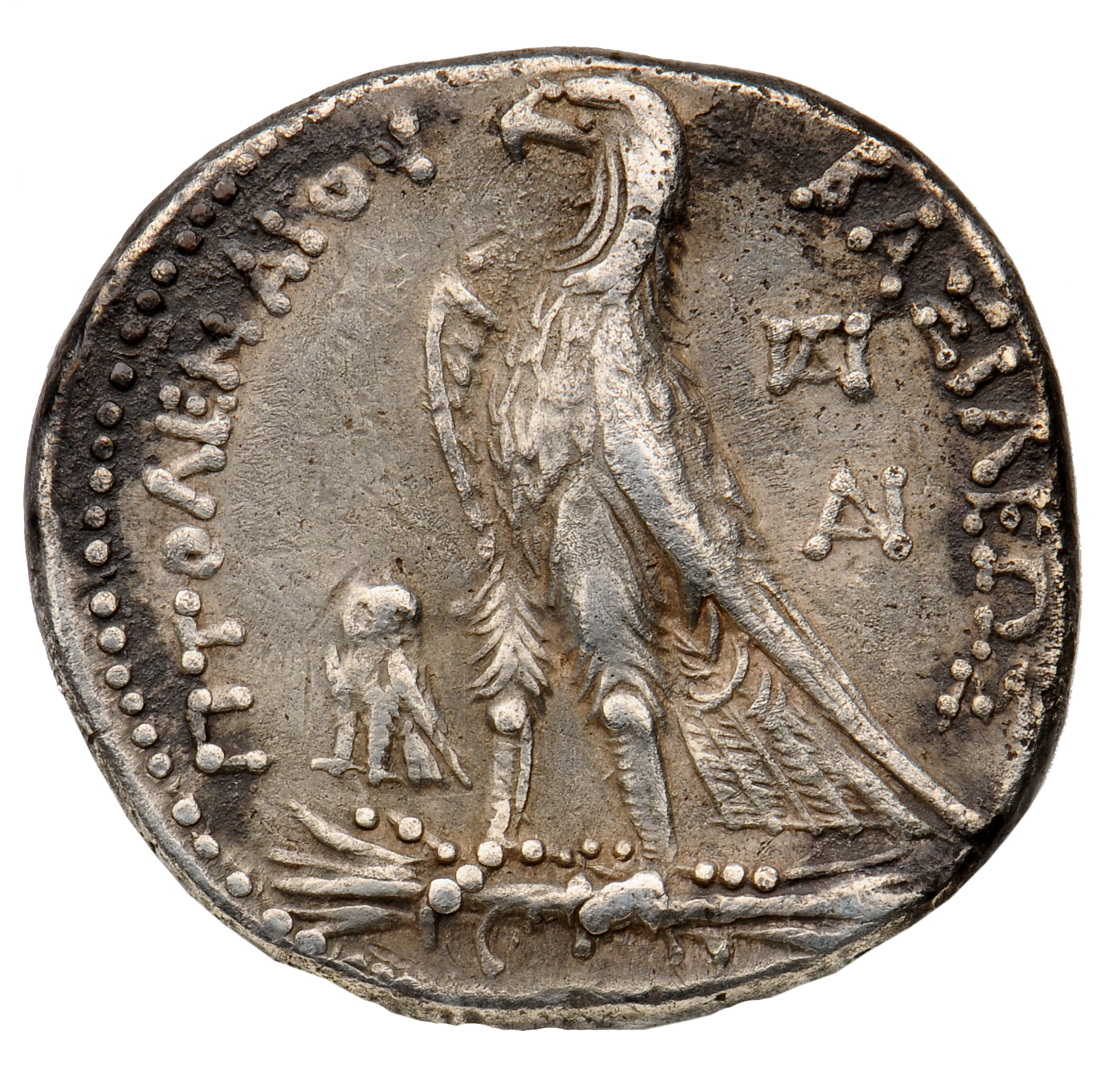 LORBER Coins of the Ptolemaic Empire Vol. I, Part 1, no. 402 Ptolemy II reverse, Eagle with closed wings standing left on ...
