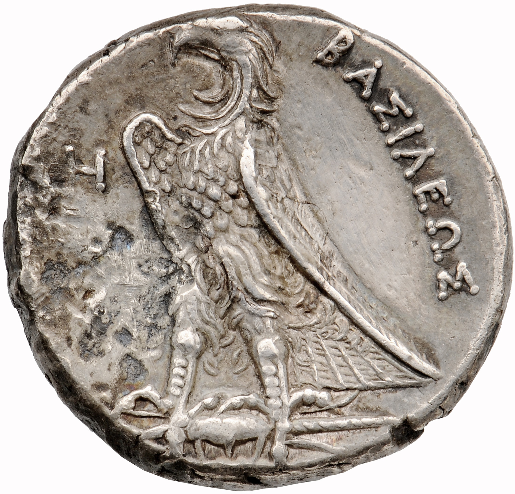 LORBER Coins of the Ptolemaic Empire Vol. I, Part 1, no. 556 Ptolemy II reverse, Eagle with closed wings standing left on ...