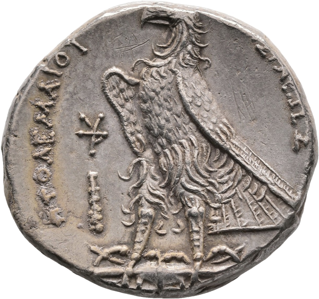 LORBER Coins of the Ptolemaic Empire Vol. I, Part 1, no. 561 Ptolemy II reverse, Eagle with closed wings standing left on ...