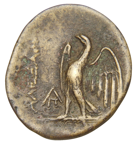 LORBER Coins of the Ptolemaic Empire Vol. I, Part II, no. B12 Ptolemy I reverse, Eagle with spread wings standing left (on...