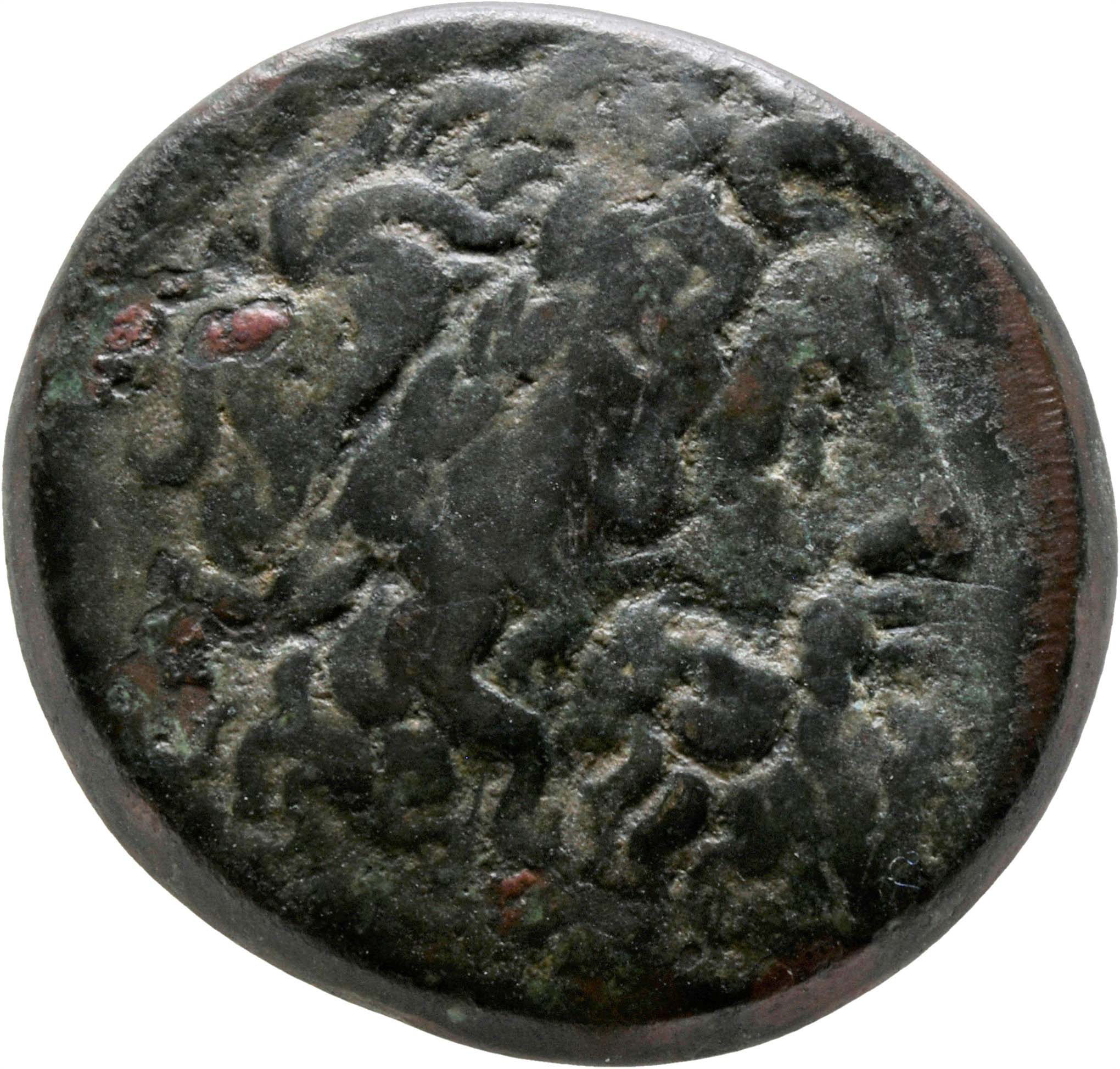 LORBER Coins of the Ptolemaic Empire Vol. I, Part II, no. B175 Ptolemy II obverse, Laureate Head of Zeus right, dotted border