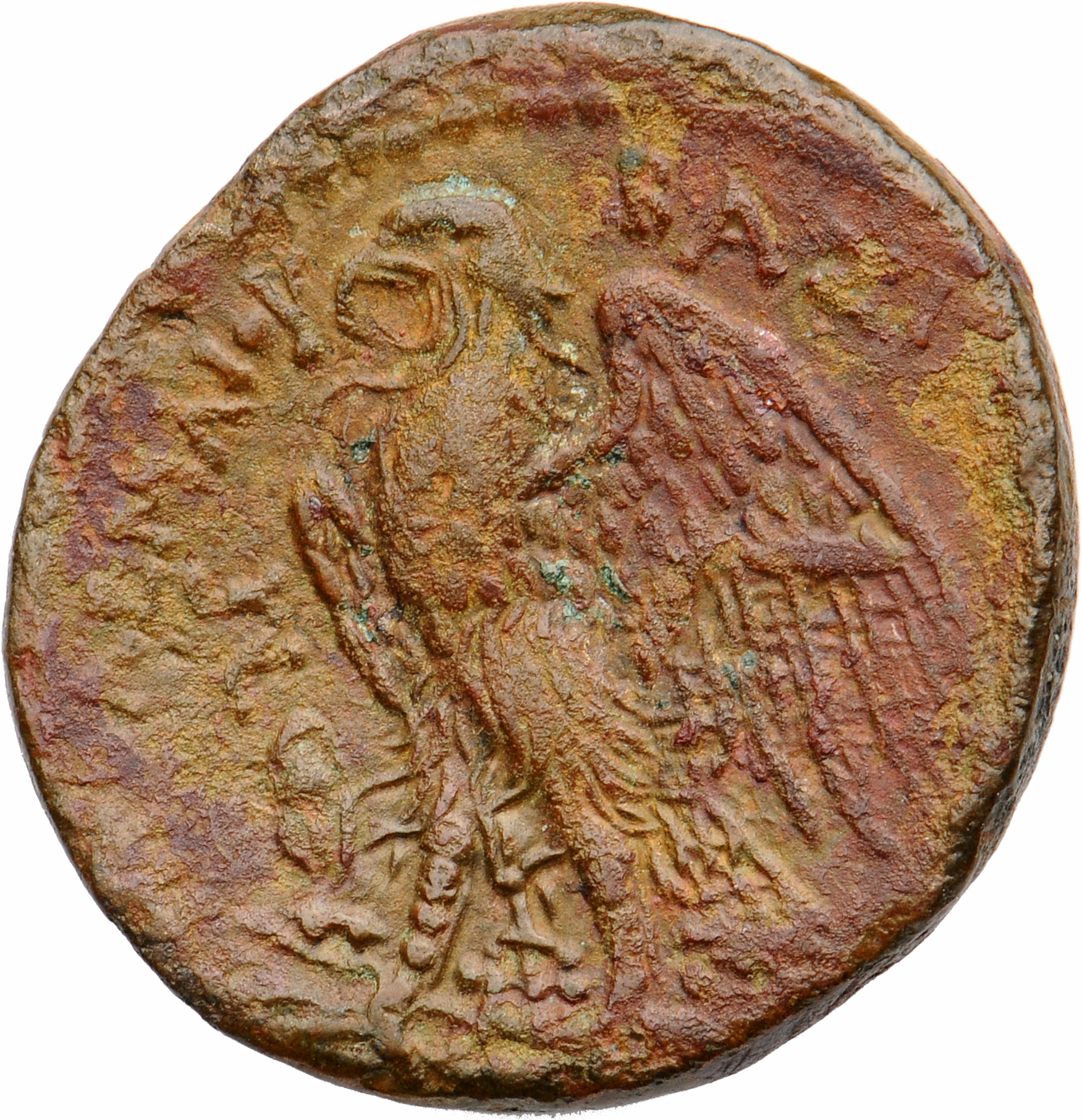LORBER Coins of the Ptolemaic Empire Vol. I, Part II, no. B180 Ptolemy II reverse, Eagle with spread wings standing left o...