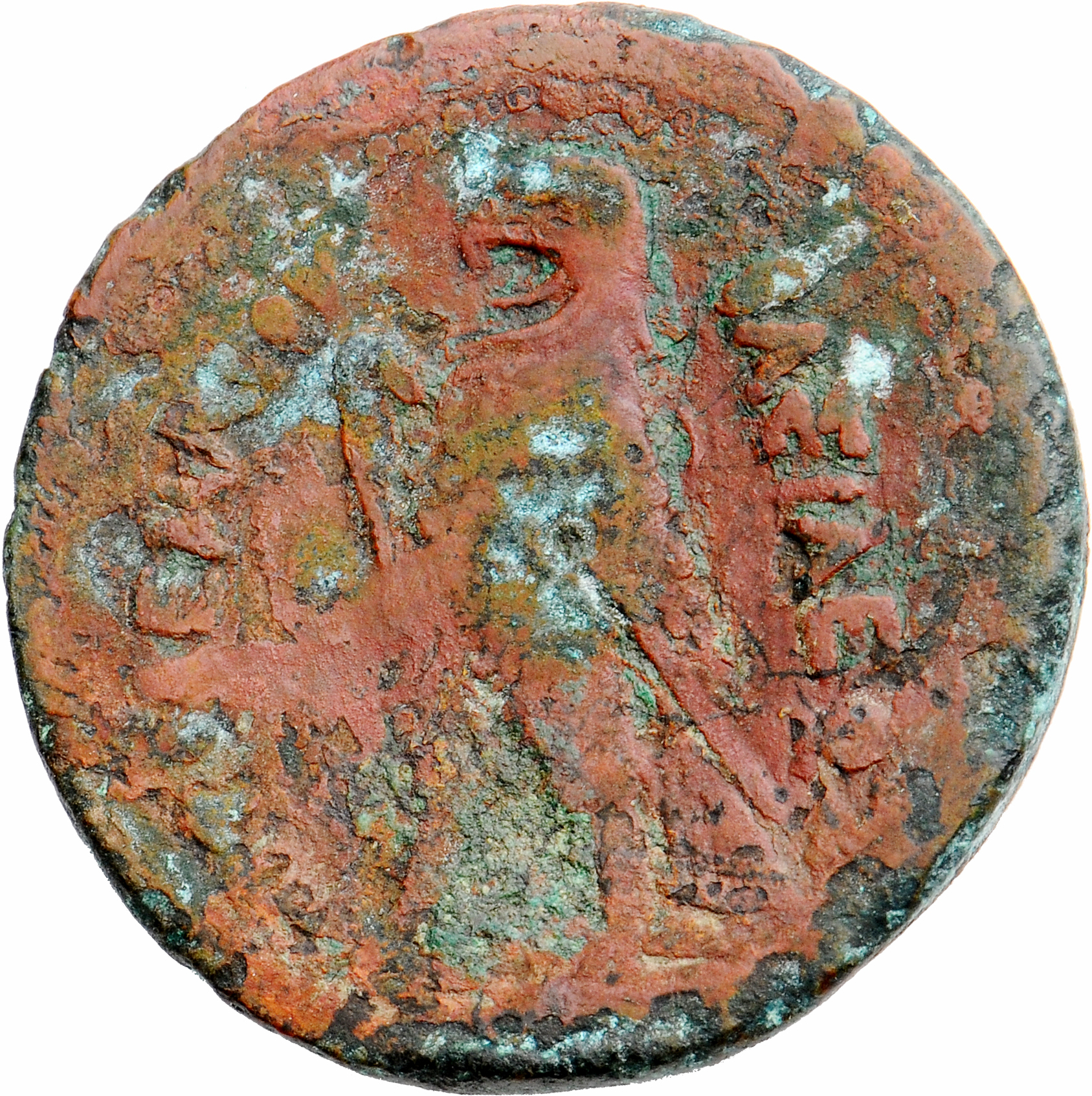 LORBER Coins of the Ptolemaic Empire Vol. I, Part II, no. B205 Ptolemy II reverse, Eagle with closed wings standing left o...