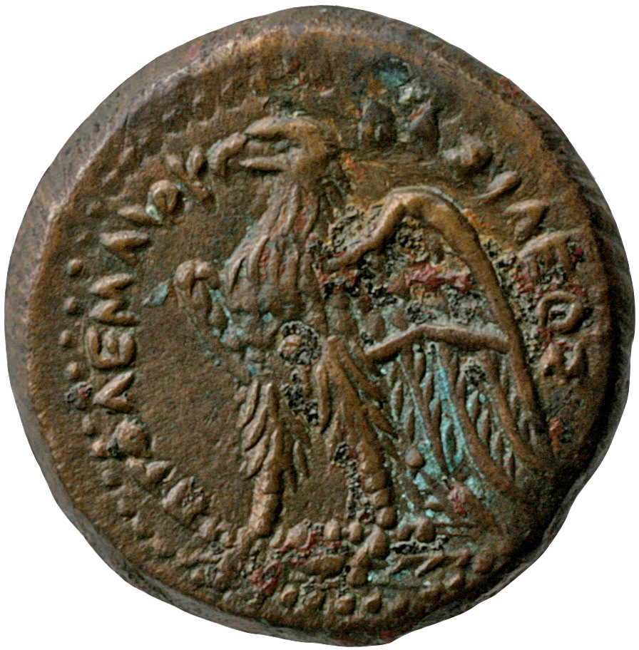 LORBER Coins of the Ptolemaic Empire Vol. I, Part II, no. B208 Ptolemy II reverse, Eagle with spread wings standing left o...