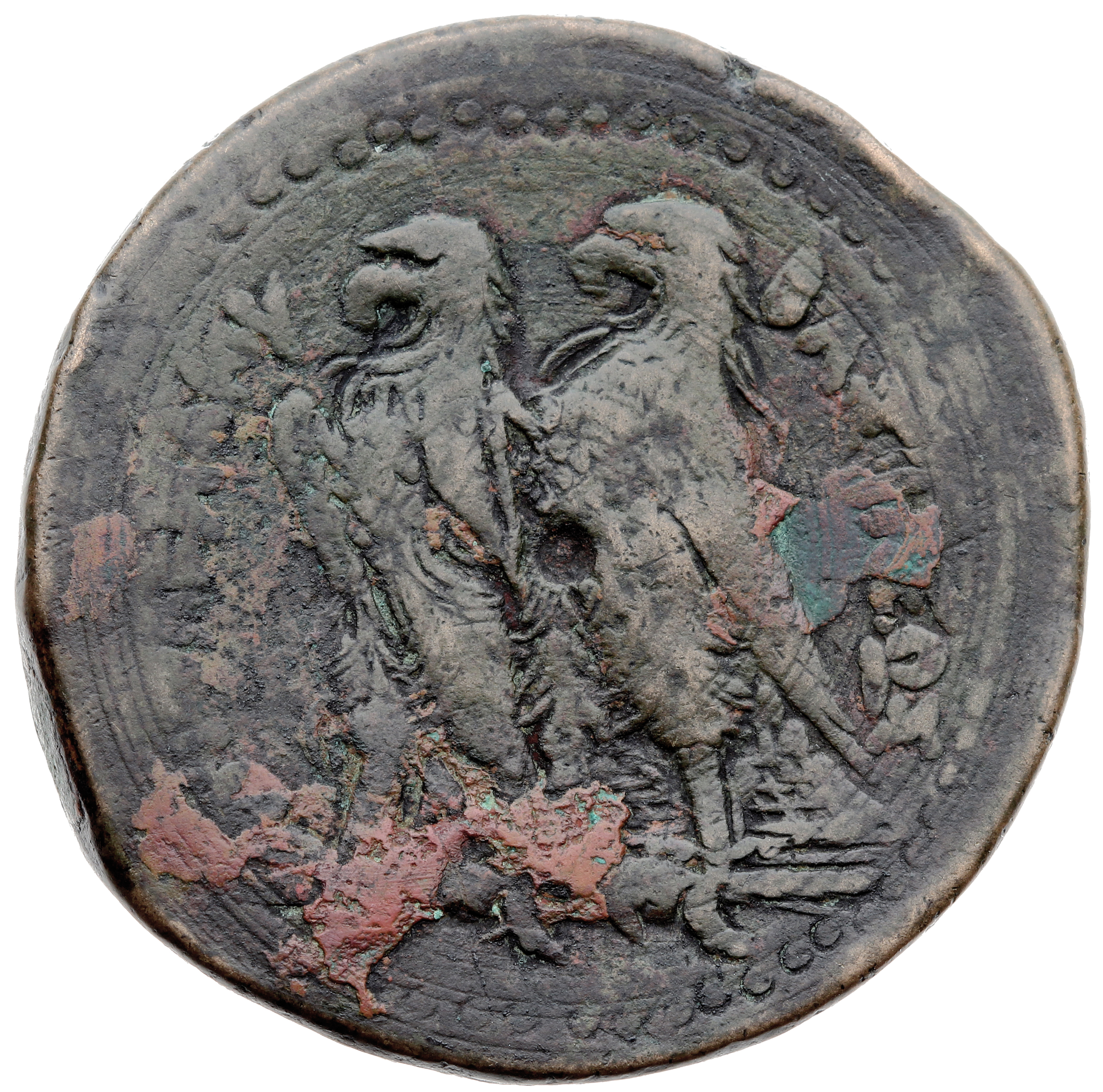 LORBER Coins of the Ptolemaic Empire Vol. I, Part II, no. B209 Ptolemy II reverse, Two Eagles with closed wings standing l...