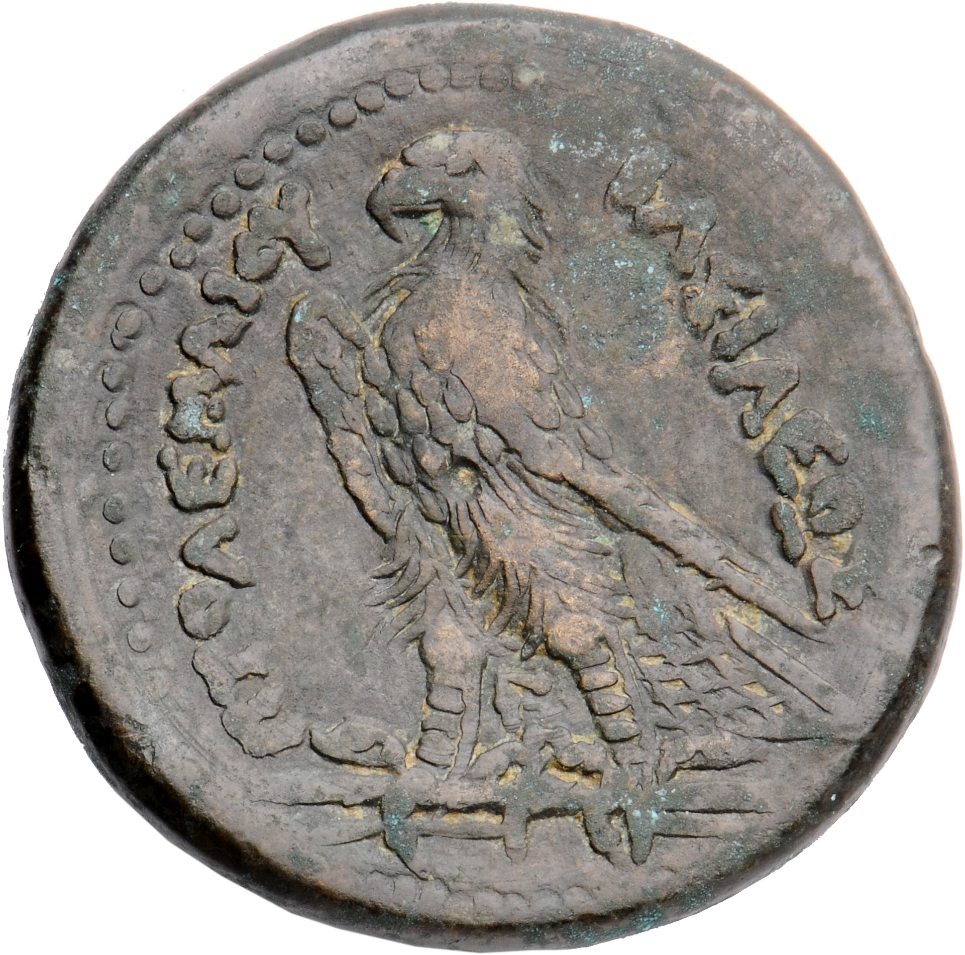 LORBER Coins of the Ptolemaic Empire Vol. I, Part II, no. B210 Ptolemy II reverse, Eagle with closed wings standing left o...