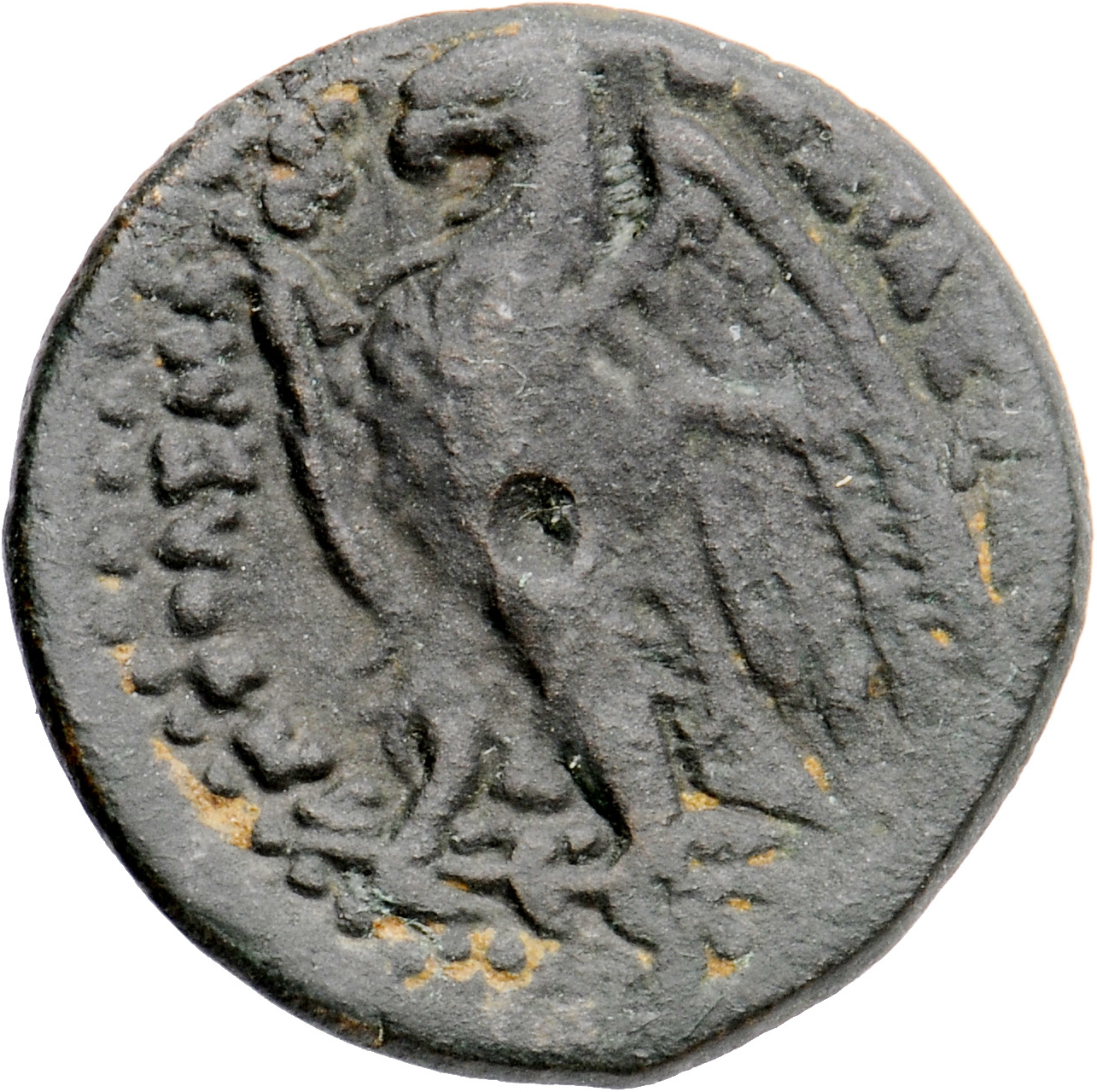 LORBER Coins of the Ptolemaic Empire Vol. I, Part II, no. B221 Ptolemy II reverse, Eagle with spread wings standing left o...