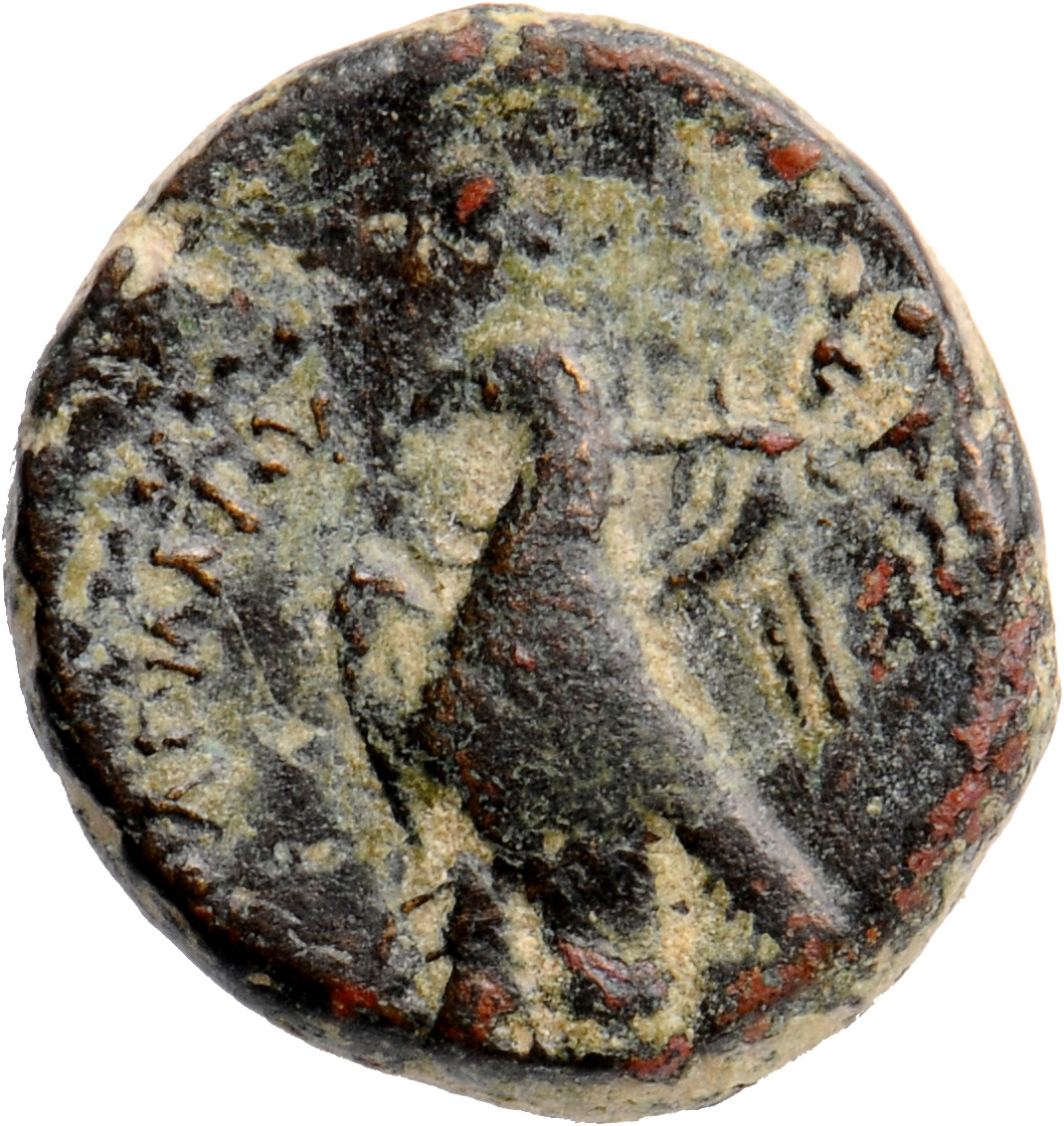 LORBER Coins of the Ptolemaic Empire Vol. I, Part II, no. B222 Ptolemy II reverse, Eagle with spread wings standing left o...