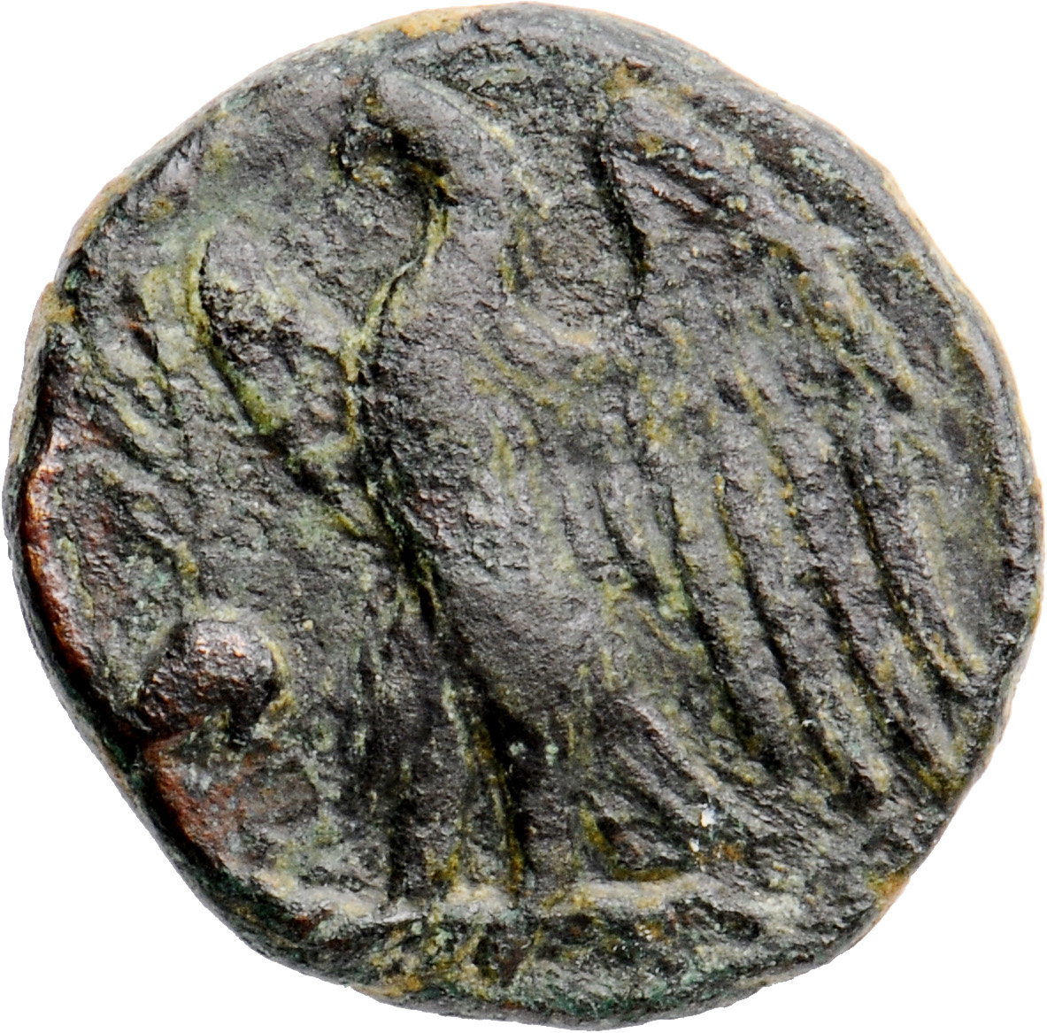 LORBER Coins of the Ptolemaic Empire Vol. I, Part II, no. B23 Ptolemy I reverse, Eagle with spread wings standing left on ...