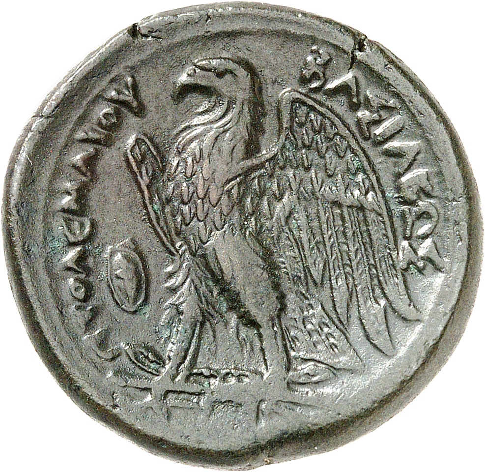 LORBER Coins of the Ptolemaic Empire Vol. I, Part II, no. B288 Ptolemy II reverse, Eagle with spread wings standing left o...