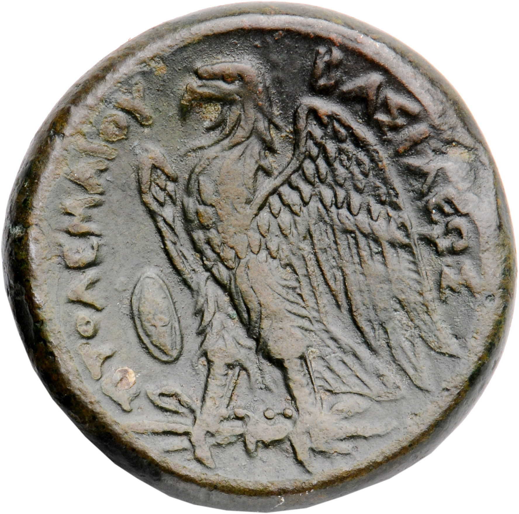 LORBER Coins of the Ptolemaic Empire Vol. I, Part II, no. B289 Ptolemy II reverse, Eagle with spread wings standing left o...