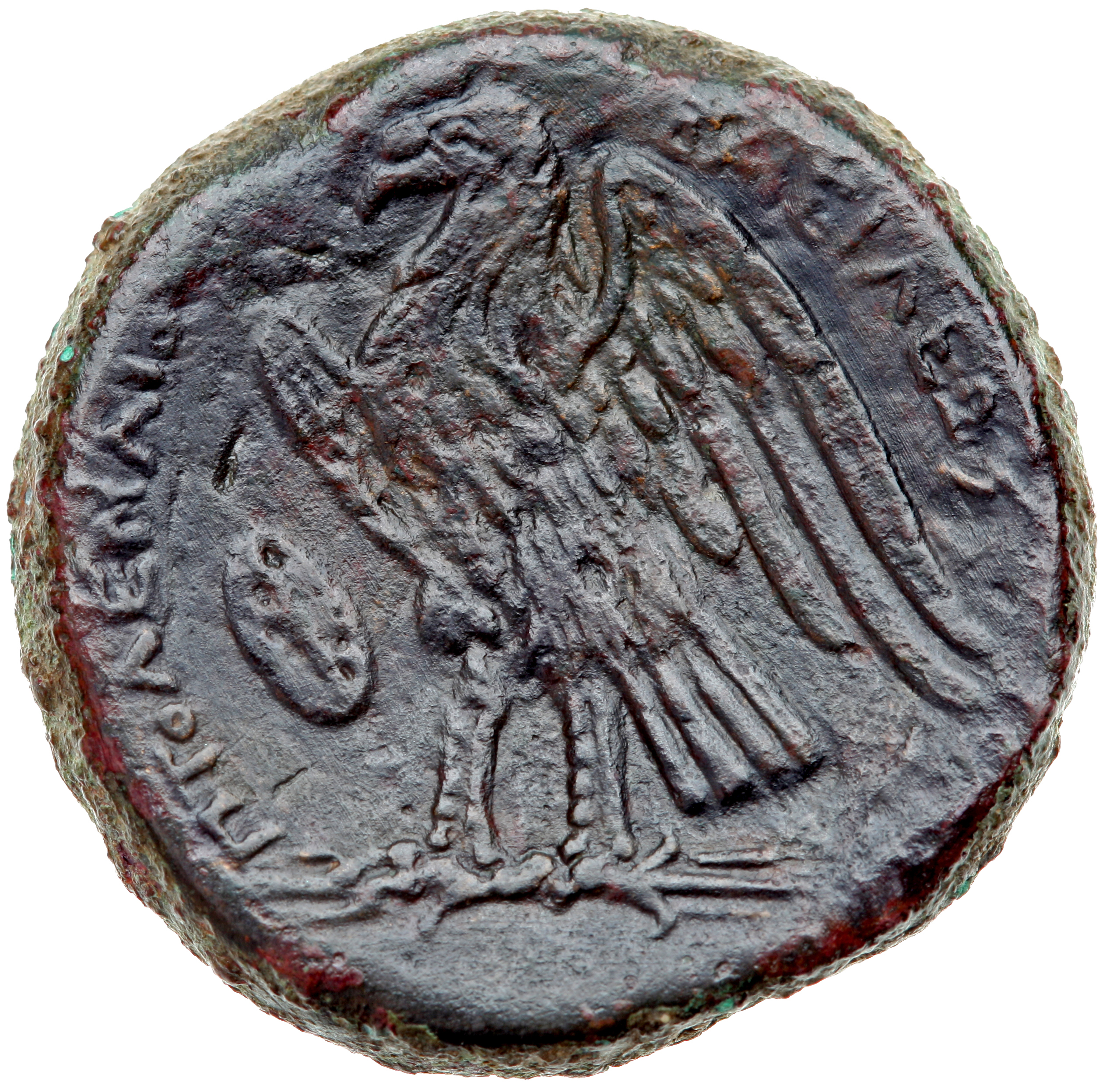 LORBER Coins of the Ptolemaic Empire Vol. I, Part II, no. B296 Ptolemy II reverse, Eagle with spread wings standing left o...