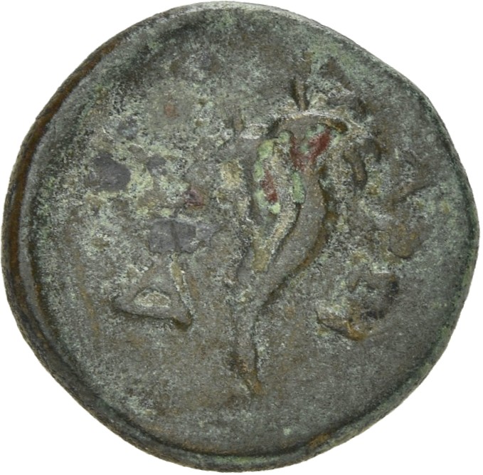 LORBER Coins of the Ptolemaic Empire Vol. I, Part II, no. B304 Ptolemy II reverse, Double Cornucopiae (apparently not boun...