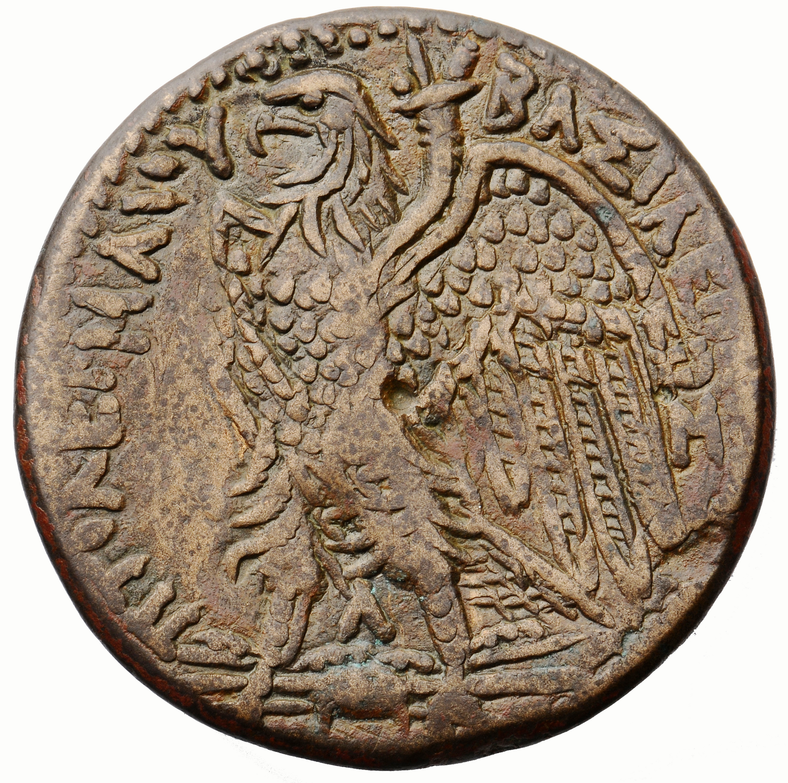 LORBER Coins of the Ptolemaic Empire Vol. I, Part II, no. B360 Ptolemy III reverse, Eagle with spread wings standing left ...