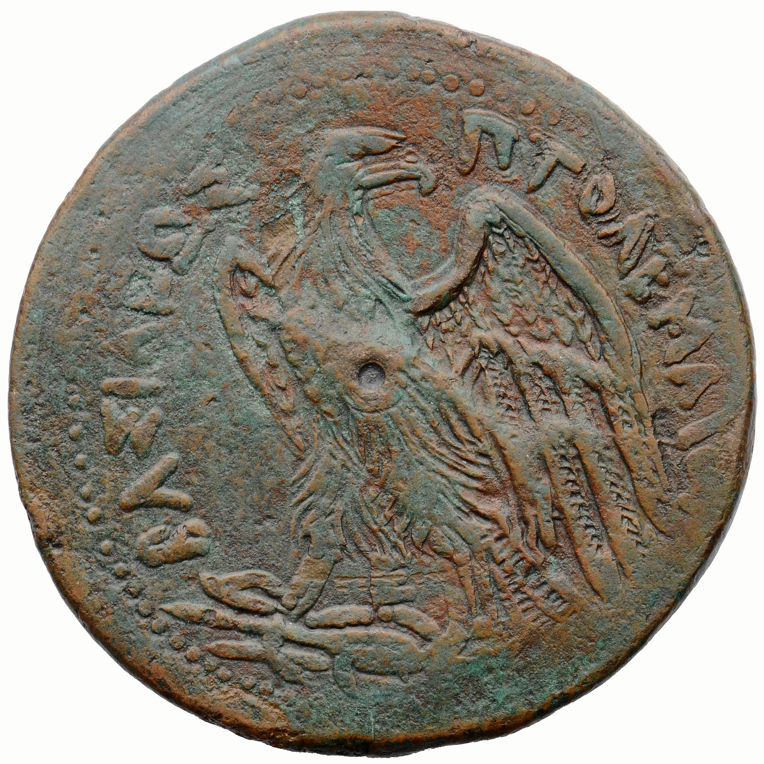 LORBER Coins of the Ptolemaic Empire Vol. I, Part II, no. B365 Ptolemy III reverse, Eagle with spread wings standing left ...