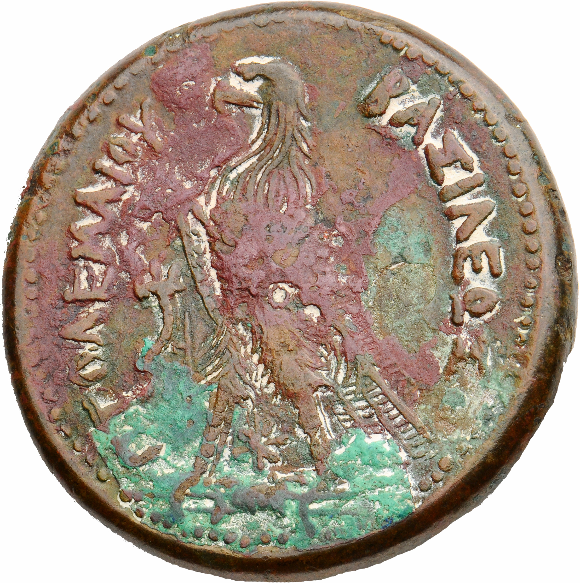 LORBER Coins of the Ptolemaic Empire Vol. I, Part II, no. B395 Ptolemy III reverse, Eagle with closed wings standing left ...