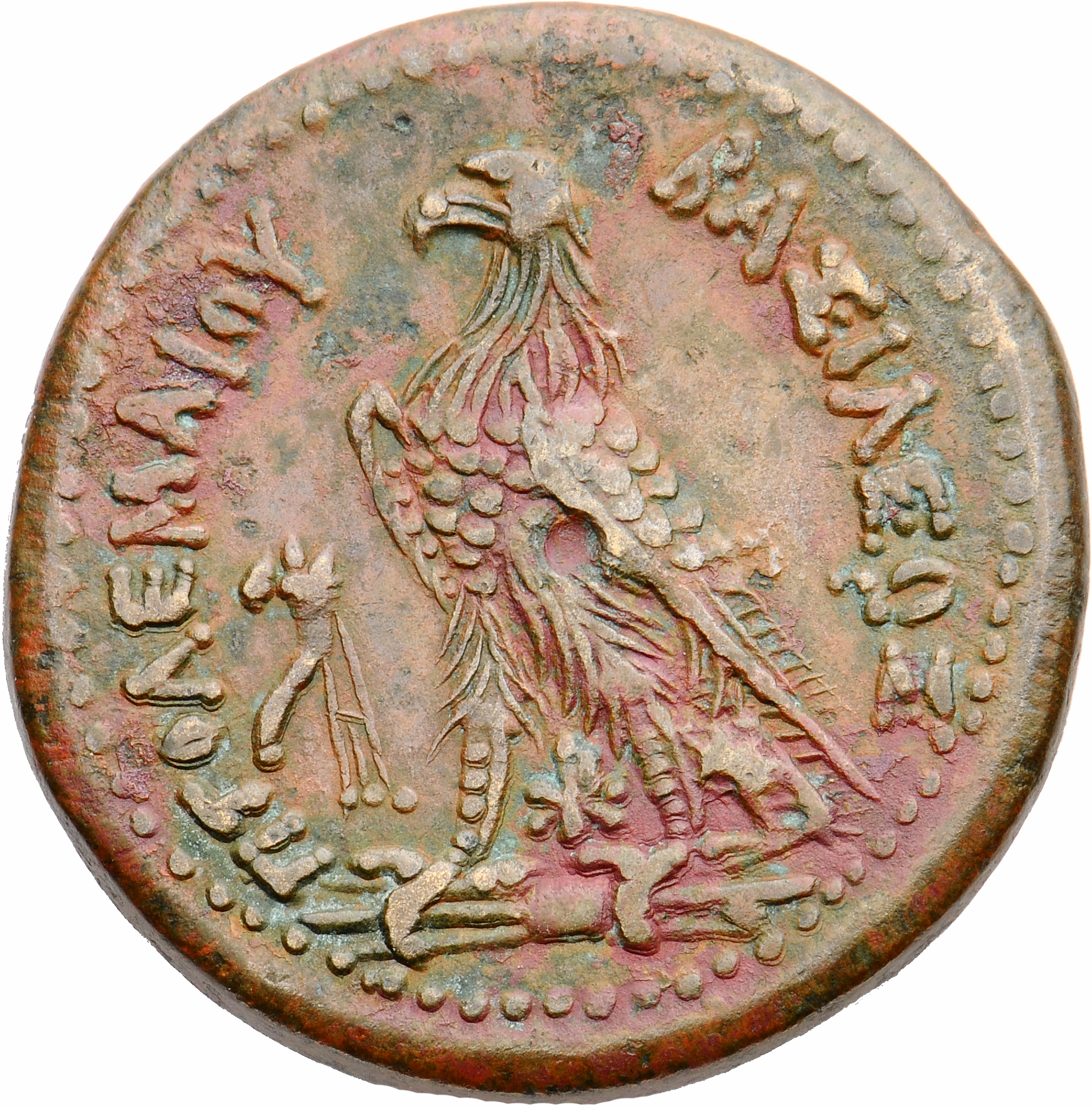 LORBER Coins of the Ptolemaic Empire Vol. I, Part II, no. B396 Ptolemy III reverse, Eagle with closed wings standing left ...