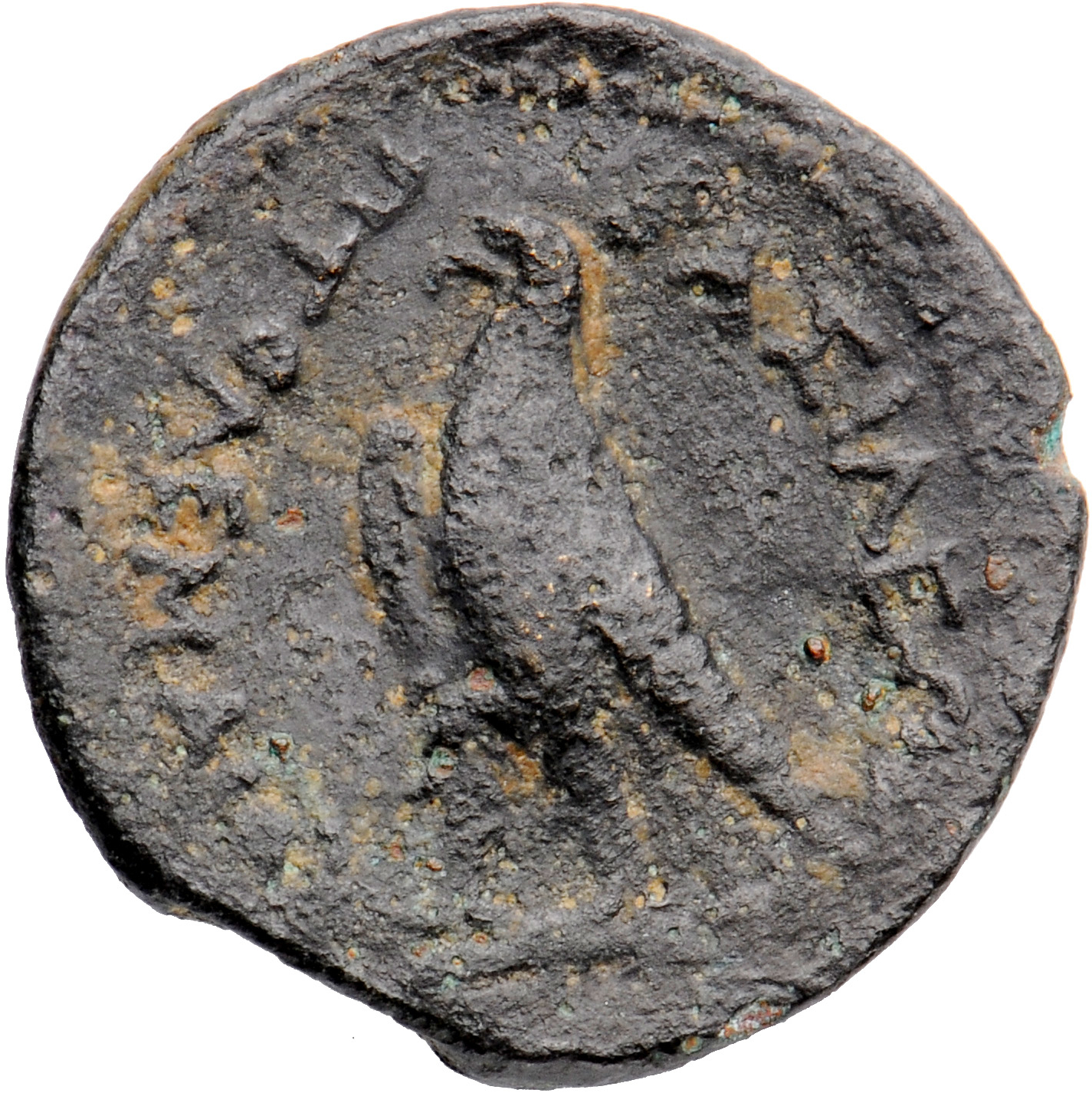 LORBER Coins of the Ptolemaic Empire Vol. I, Part II, no. B460 Ptolemy III reverse, Eagle with closed wings standing left ...