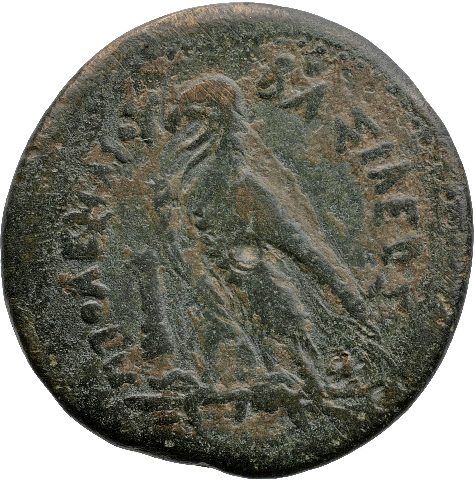 LORBER Coins of the Ptolemaic Empire Vol. I, Part II, no. B466 Ptolemy III reverse, Eagle with closed wings standing left ...