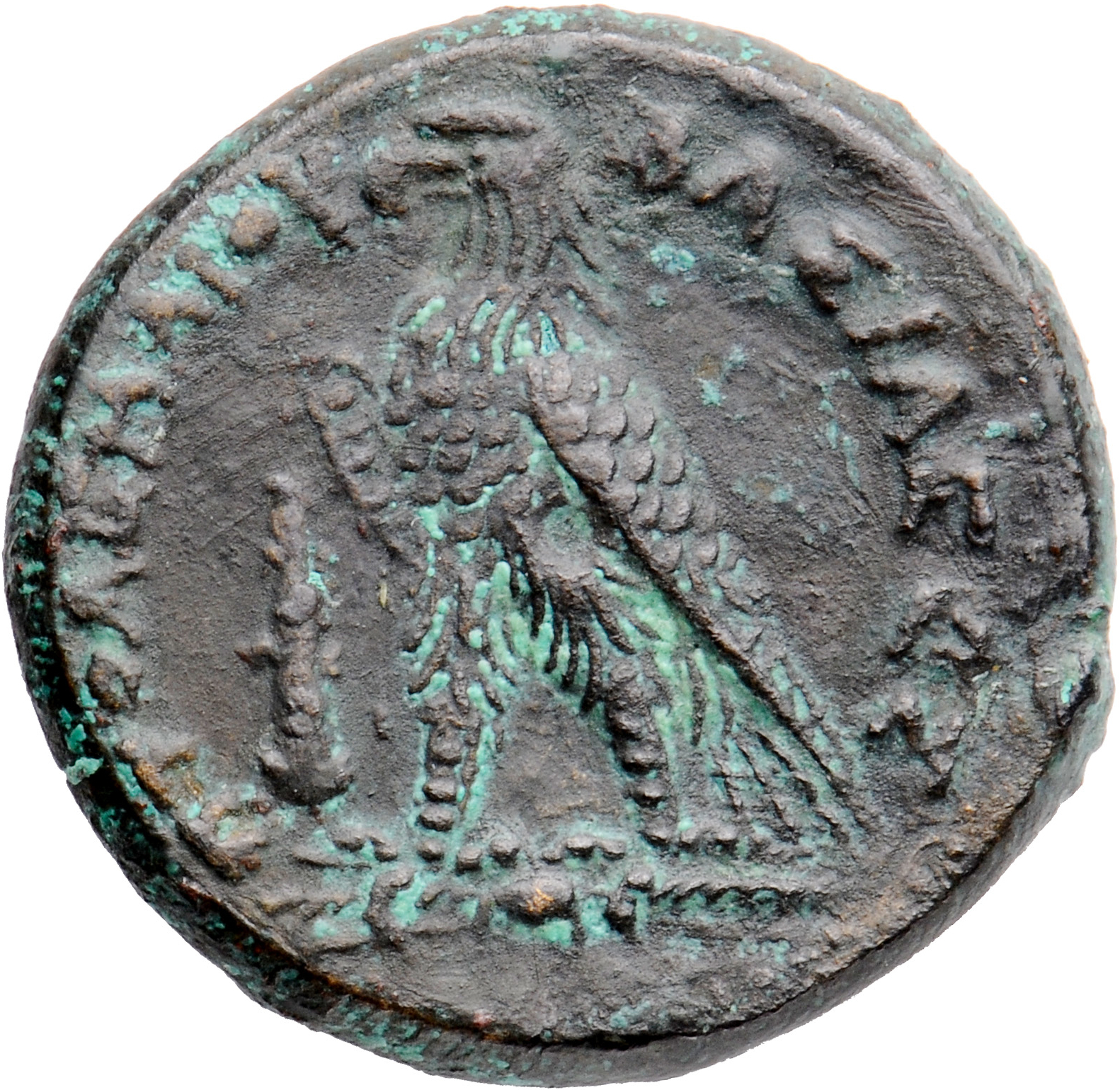 LORBER Coins of the Ptolemaic Empire Vol. I, Part II, no. B468 Ptolemy III reverse, Eagle with closed wings standing left ...
