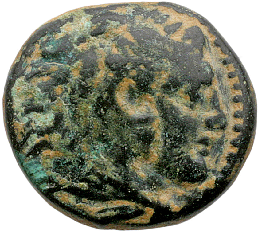 Alexander III obverse — Head of beardless Heracles right wearing lion skin headdress