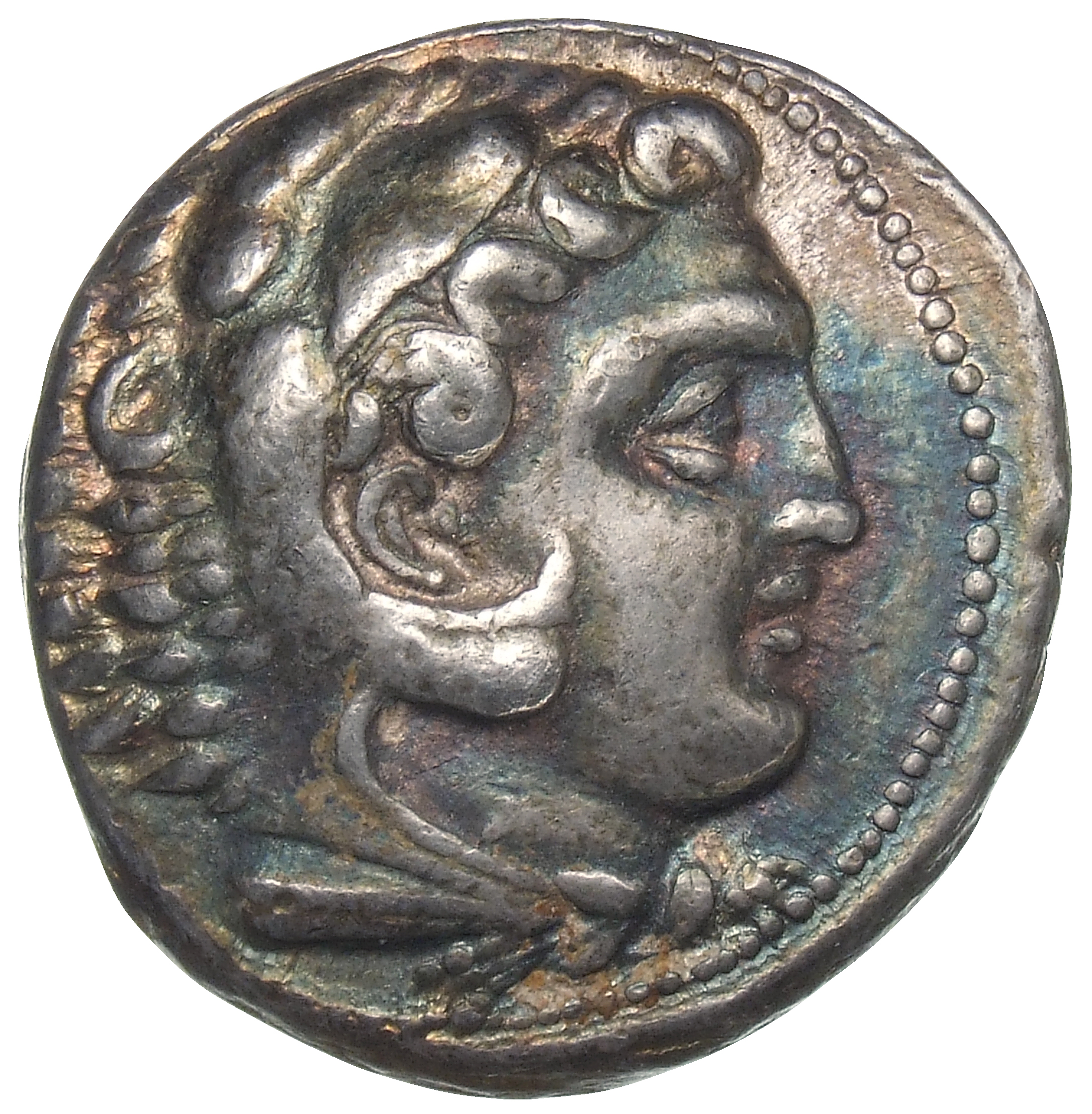 Alexander III obverse — Head of beardless Heracles right wearing lion skin headdress