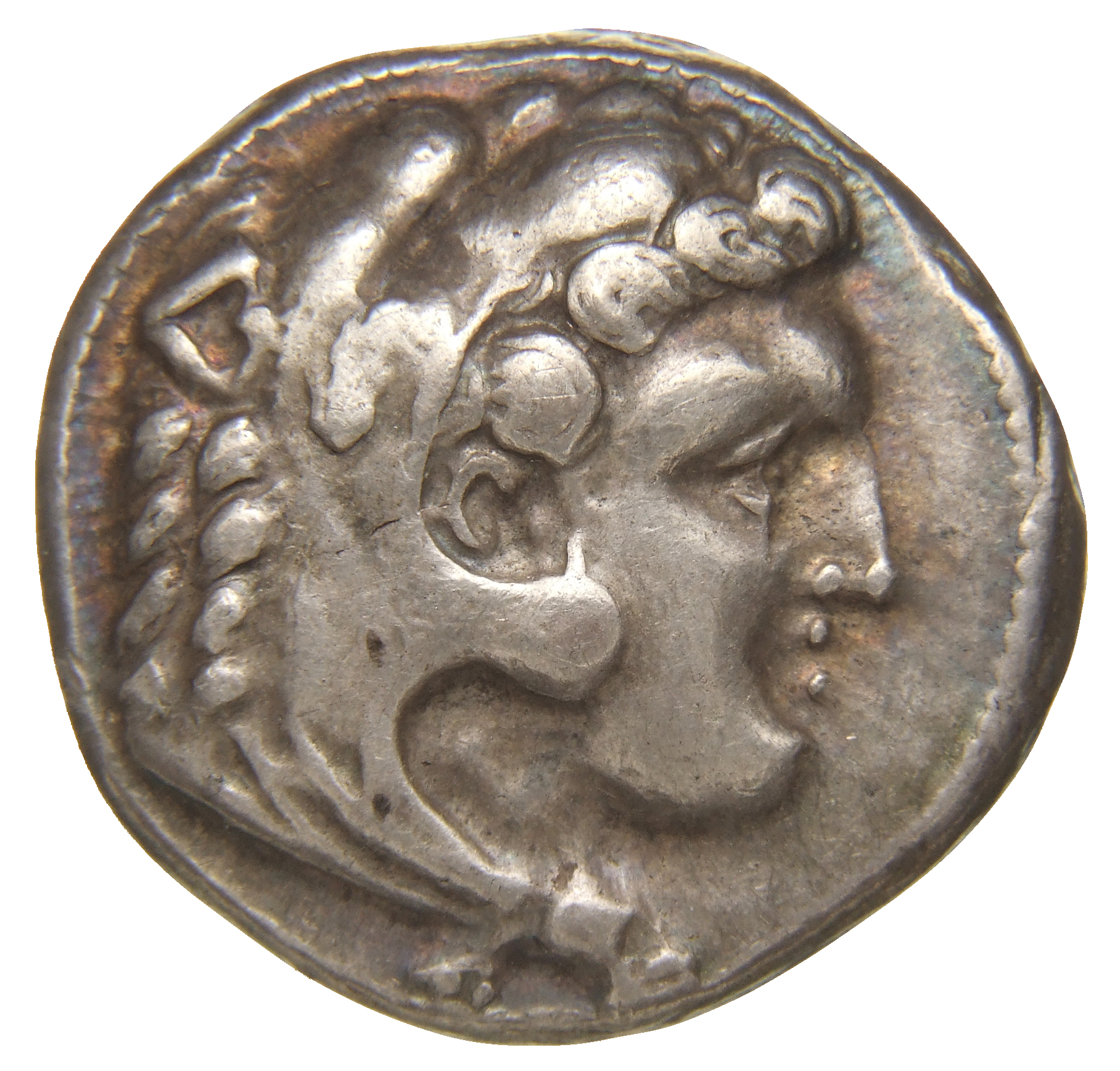 Alexander III obverse — Head of beardless Heracles right wearing lion skin headdress