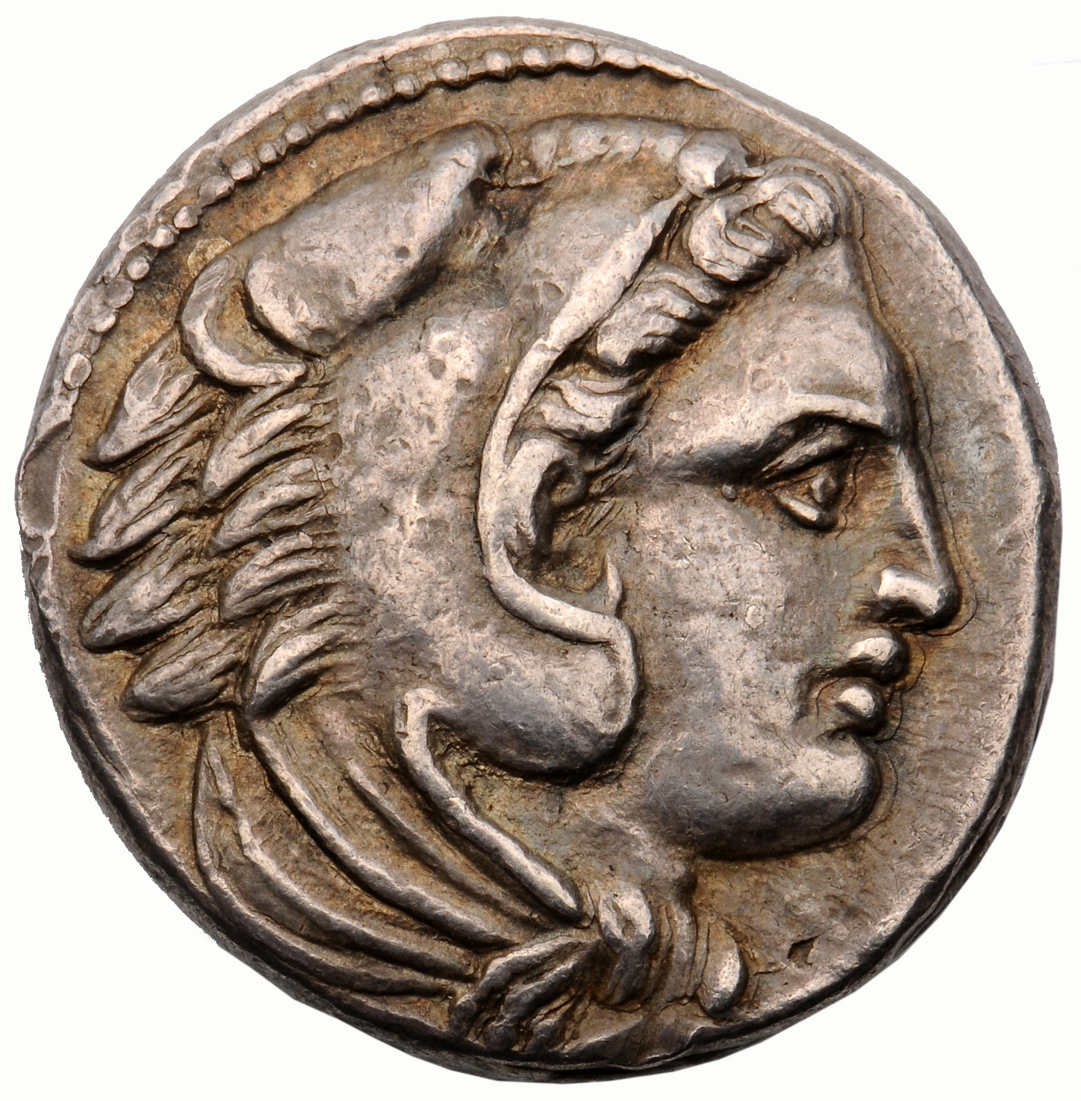 Alexander III obverse — Head of beardless Heracles right wearing lion skin headdress