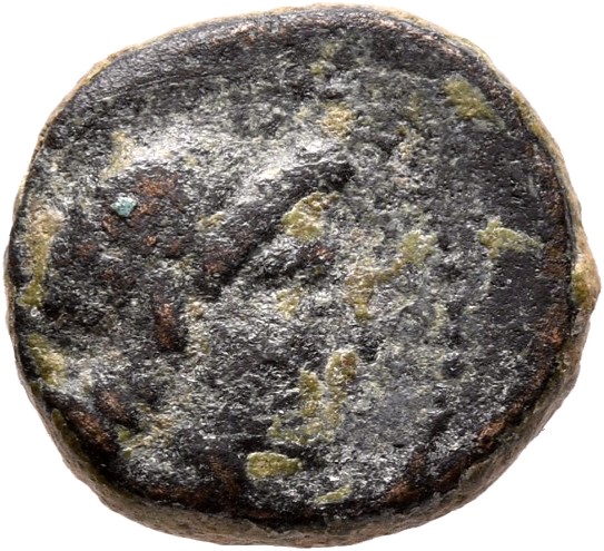 HOUGHTON Seleucid Coins (part 1) 1052 Antiochus III obverse, Laureate head of Antiochus III right,  as Apollo