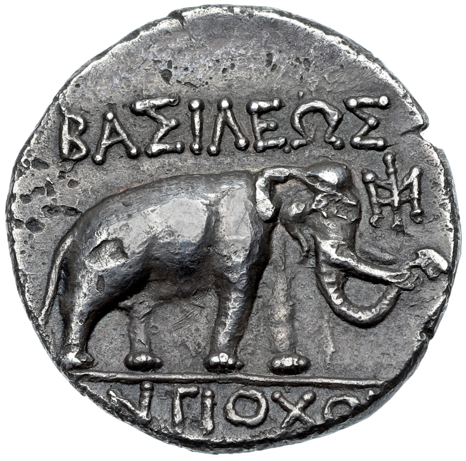 HOUGHTON Seleucid Coins (part 1) 1065.6 Antiochus III reverse, Elephant standing right