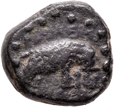 HOUGHTON Seleucid Coins (part 1) 1088 Antiochus III reverse, Elephant standing right
