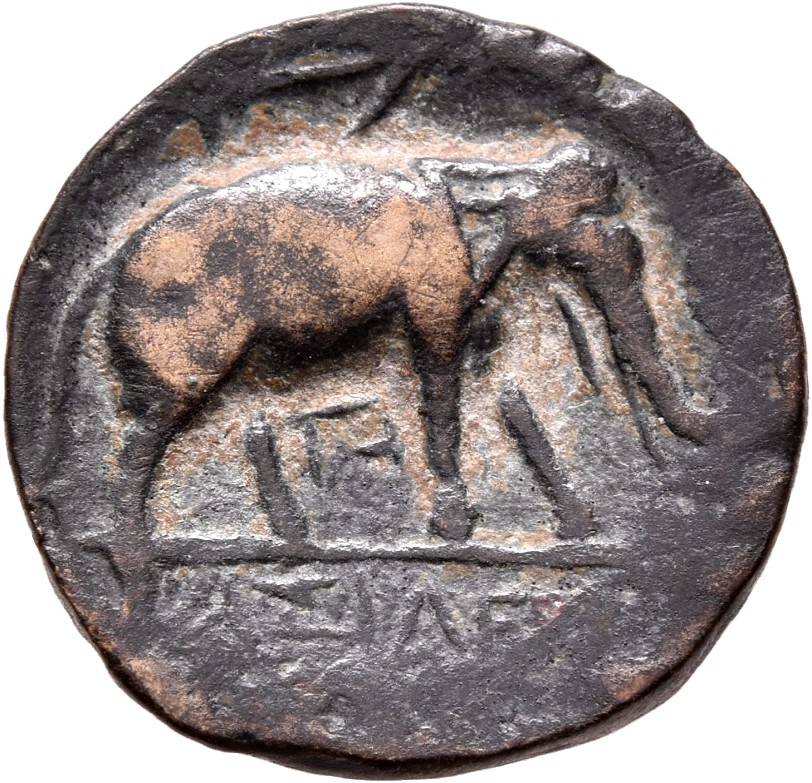 HOUGHTON Seleucid Coins (part 1) 1089.3a Antiochus III reverse, Elephant standing right