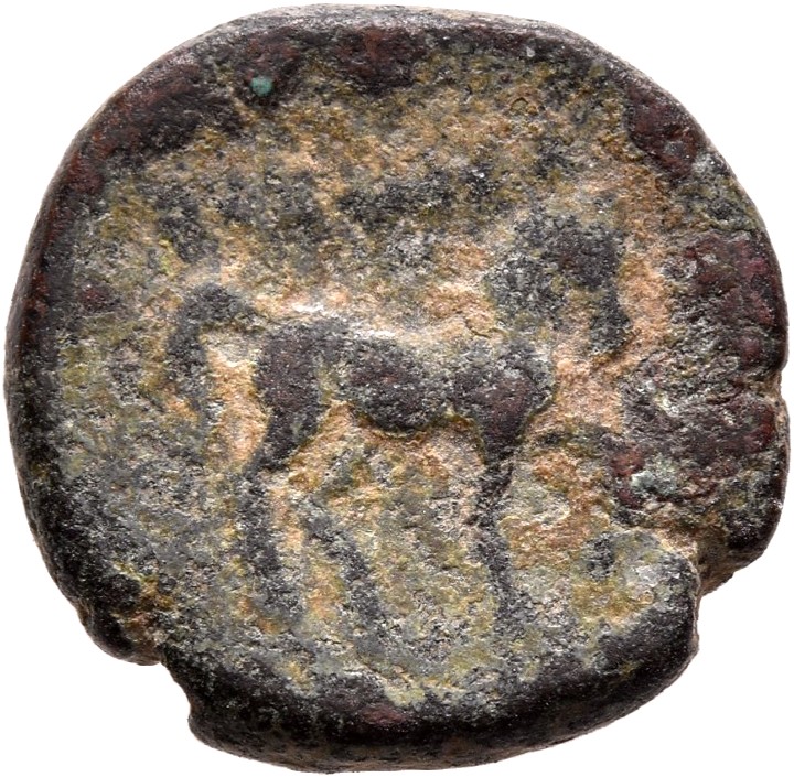 HOUGHTON Seleucid Coins (part 1) 1094 Antiochus III reverse, Horse trotting right