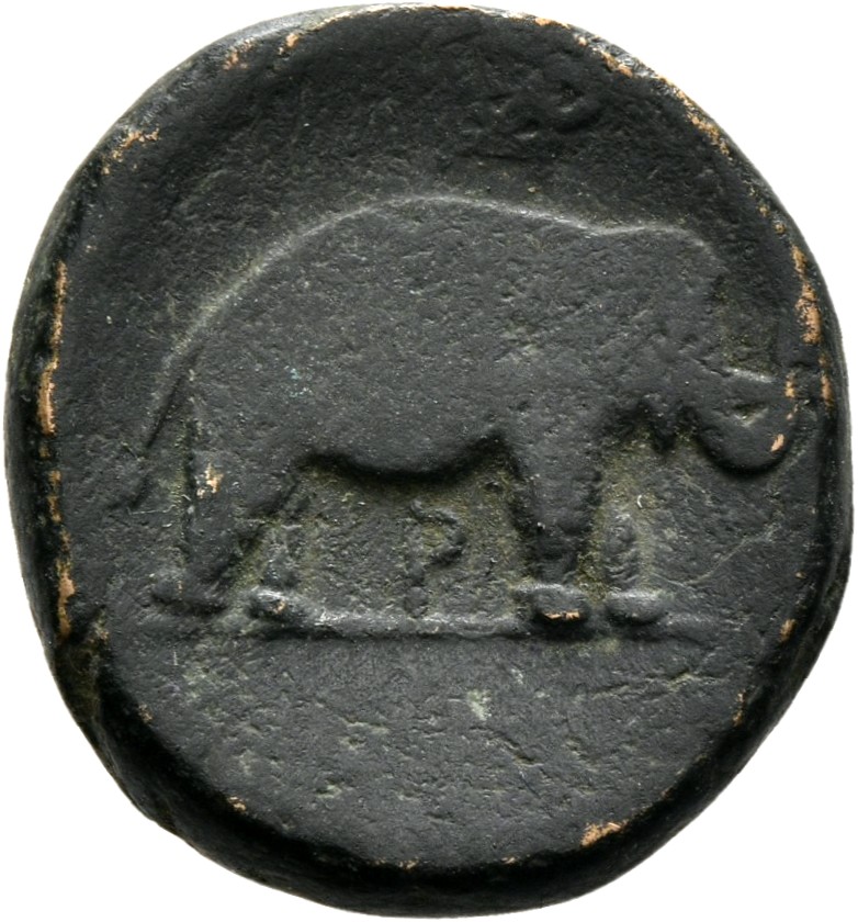 HOUGHTON Seleucid Coins (part 1) 128b Seleucus I reverse, Elephant standing right