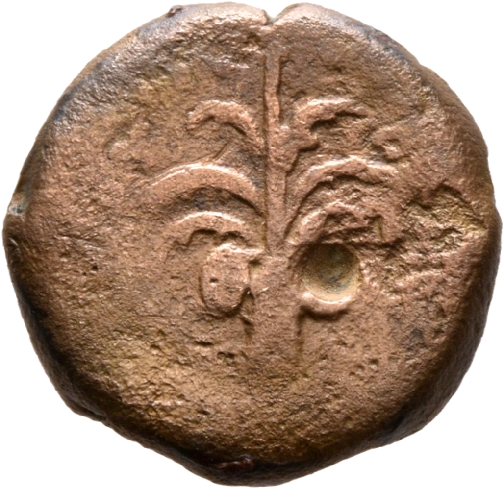 HOUGHTON Seleucid Coins (part 2) 1470 Antiochus IV reverse, Palm tree