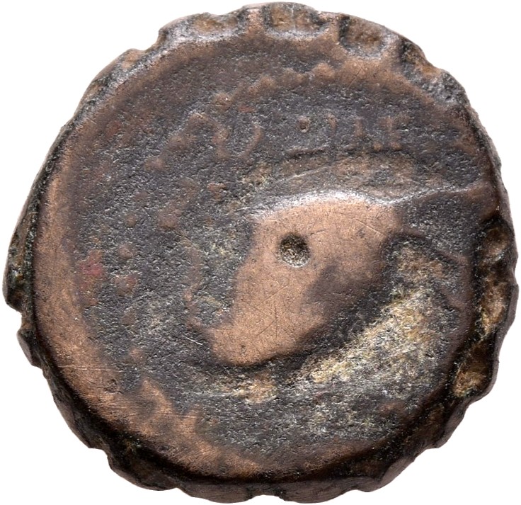 HOUGHTON Seleucid Coins (part 2) 1477.2 Antiochus IV reverse, Elephant head left