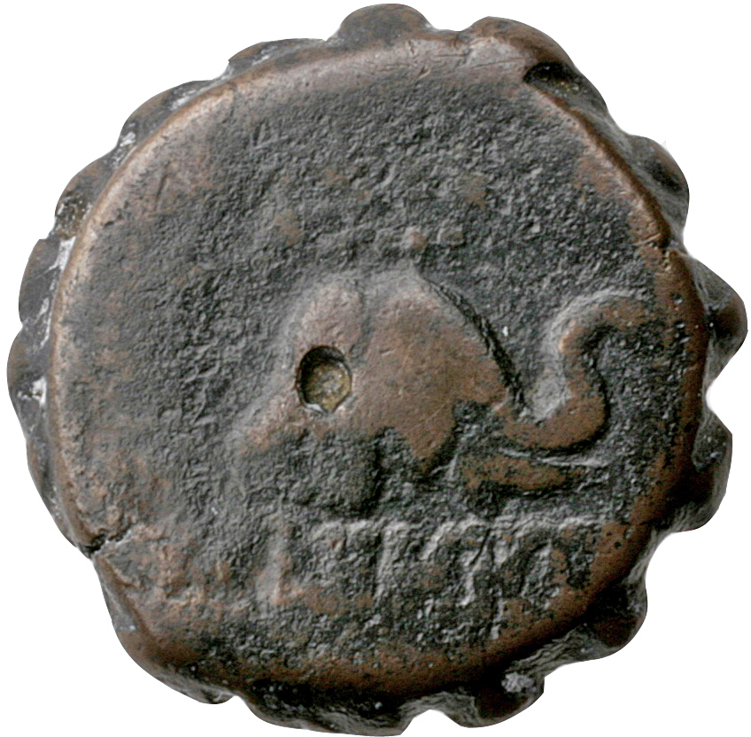 HOUGHTON Seleucid Coins (part 2) 1646 Demetrius I Soter reverse, Elephant head right