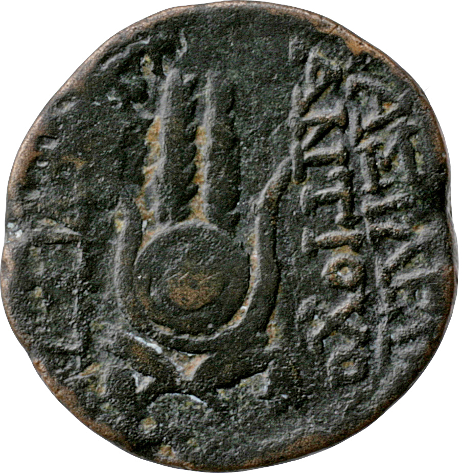 HOUGHTON Seleucid Coins (part 2) 2067 Antiochus VII reverse, Isis headdress resting on two grain ears with stems crossed a...