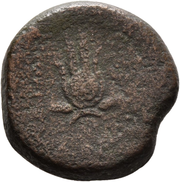 HOUGHTON Seleucid Coins (part 2) 2067 Antiochus VII reverse, Isis headdress resting on two grain ears with stems crossed a...