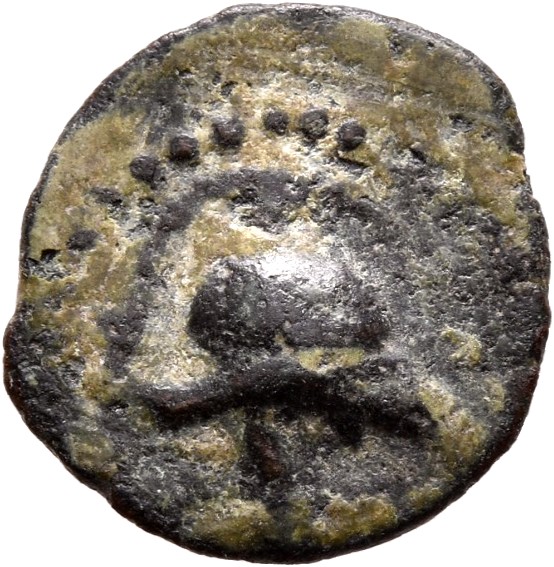 HOUGHTON Seleucid Coins (part 2) 2122 Antiochus VII obverse, Boar head right