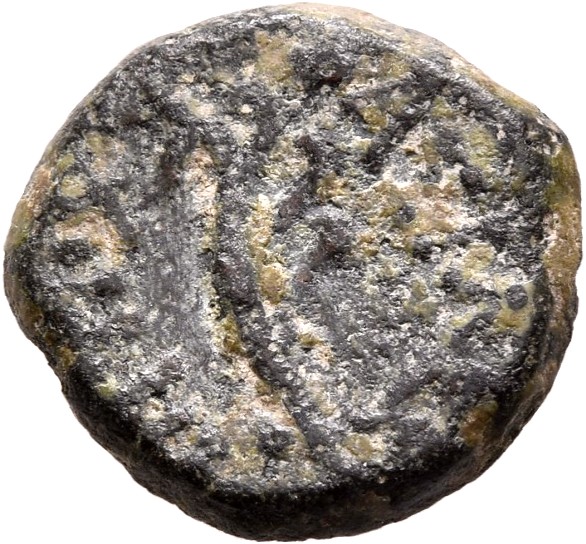 HOUGHTON Seleucid Coins (part 2) 2122 Antiochus VII reverse, Aphlaston