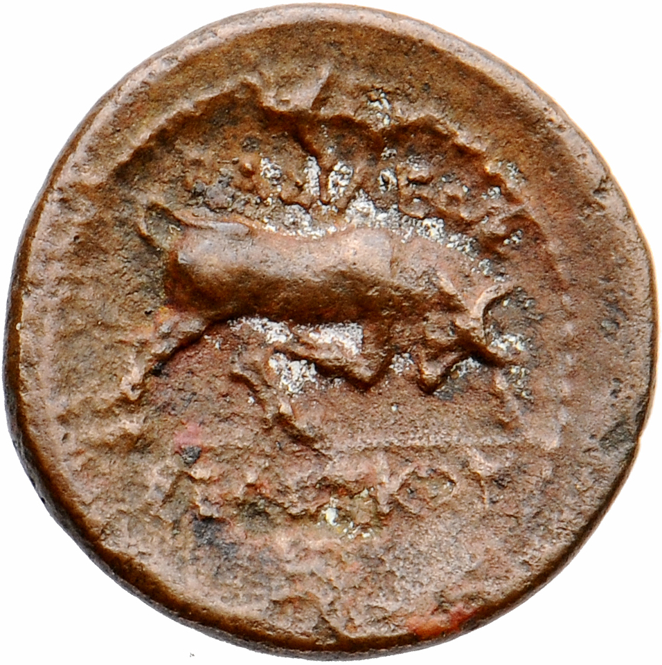 HOUGHTON Seleucid Coins (part 1) 224 Seleucus I reverse, Bull butting right