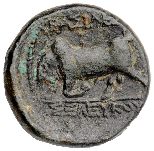 HOUGHTON Seleucid Coins (part 1) 24.1 Seleucus I reverse, Bull butting right